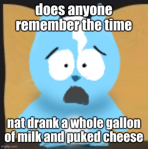 bro is in South Park | does anyone remember the time; nat drank a whole gallon of milk and puked cheese | image tagged in bro is in south park | made w/ Imgflip meme maker
