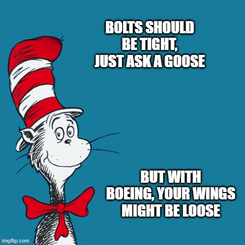 BOLTS SHOULD BE TIGHT, JUST ASK A GOOSE BUT WITH BOEING, YOUR WINGS MIGHT BE LOOSE | image tagged in dr suess | made w/ Imgflip meme maker