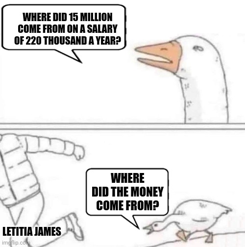 Letitia James | WHERE DID 15 MILLION COME FROM ON A SALARY OF 220 THOUSAND A YEAR? WHERE DID THE MONEY COME FROM? LETITIA JAMES | image tagged in goose chase | made w/ Imgflip meme maker