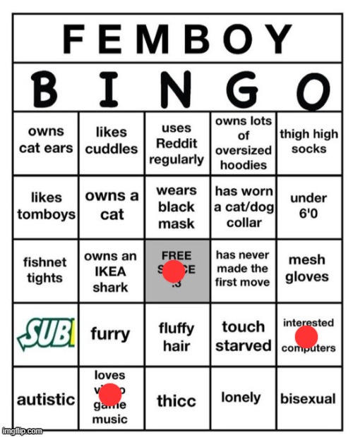Femboy Bingo | image tagged in femboy bingo | made w/ Imgflip meme maker
