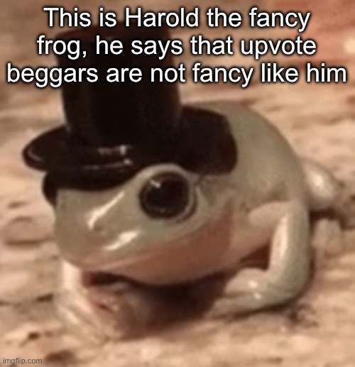 Be like Harold | This is Harold the fancy frog, he says that upvote beggars are not fancy like him | image tagged in dapper frog | made w/ Imgflip meme maker