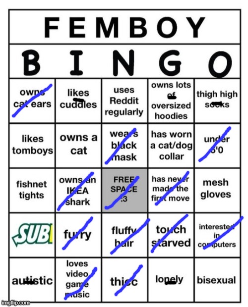 haha | image tagged in femboy bingo | made w/ Imgflip meme maker