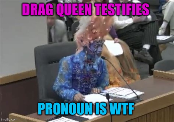 Pronoun should be WTF? | DRAG QUEEN TESTIFIES; PRONOUN IS WTF | image tagged in drag queen testifies,funny,liberals,drag queen,confused | made w/ Imgflip meme maker