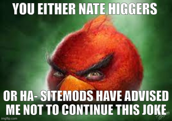 Realistic Red Angry Birds | YOU EITHER NATE HIGGERS; OR HA- SITEMODS HAVE ADVISED ME NOT TO CONTINUE THIS JOKE | image tagged in realistic red angry birds | made w/ Imgflip meme maker
