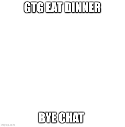 blank | GTG EAT DINNER; BYE CHAT | image tagged in blank | made w/ Imgflip meme maker