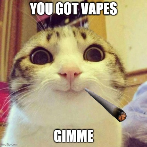 Smiling Cat Meme | YOU GOT VAPES; GIMME | image tagged in memes,smiling cat | made w/ Imgflip meme maker