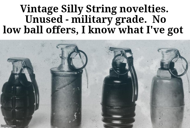 Get them while they last | Vintage Silly String novelties.  Unused - military grade.  No low ball offers, I know what I've got | image tagged in grenade,silly,string,i could use a drink | made w/ Imgflip meme maker
