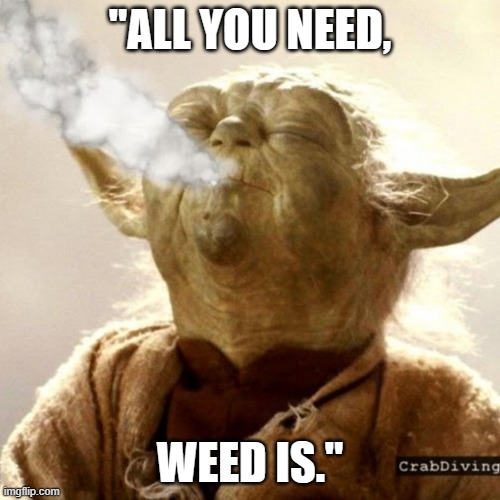Hazy, the Force is. | "ALL YOU NEED, WEED IS." | image tagged in star wars yoda | made w/ Imgflip meme maker