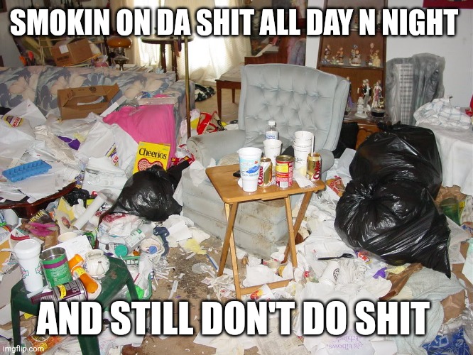 Messy House | SMOKIN ON DA SHIT ALL DAY N NIGHT; AND STILL DON'T DO SHIT | image tagged in messy house | made w/ Imgflip meme maker