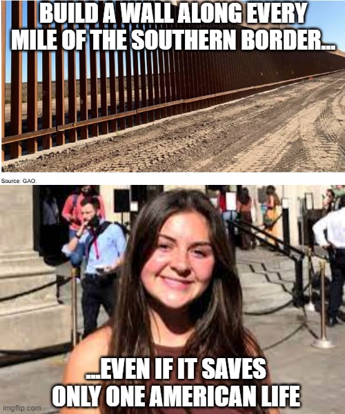 Worth the Investment | BUILD A WALL ALONG EVERY MILE OF THE SOUTHERN BORDER... ...EVEN IF IT SAVES ONLY ONE AMERICAN LIFE | image tagged in immigration,illegal immigration,border wall,secure the border | made w/ Imgflip meme maker