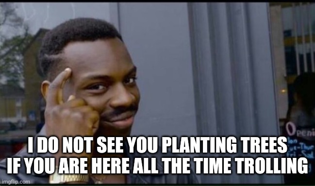Thinking Black Man | I DO NOT SEE YOU PLANTING TREES IF YOU ARE HERE ALL THE TIME TROLLING | image tagged in thinking black man | made w/ Imgflip meme maker
