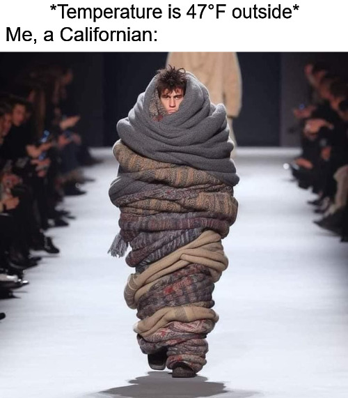 *sips hot tea* | *Temperature is 47°F outside*; Me, a Californian: | image tagged in scarf scarfs,scarf,scarfs,california,spring | made w/ Imgflip meme maker