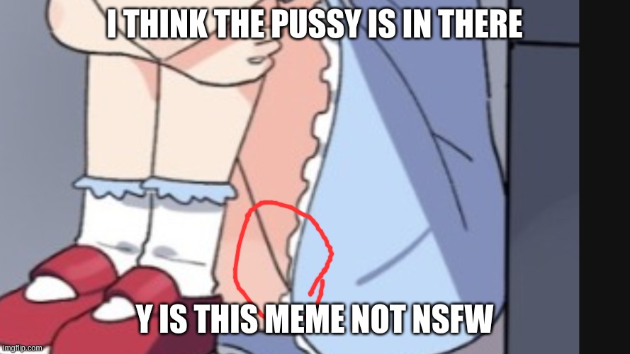 I THINK THE PUSSY IS IN THERE Y IS THIS MEME NOT NSFW | made w/ Imgflip meme maker