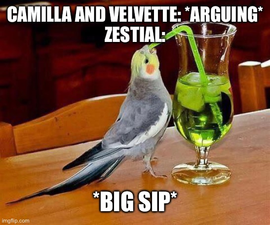 Big Sip | CAMILLA AND VELVETTE: *ARGUING*
ZESTIAL:; *BIG SIP* | image tagged in big sip | made w/ Imgflip meme maker