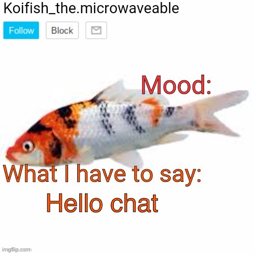 Koifish_the.microwaveable announcement | Hello chat | image tagged in koifish_the microwaveable announcement | made w/ Imgflip meme maker