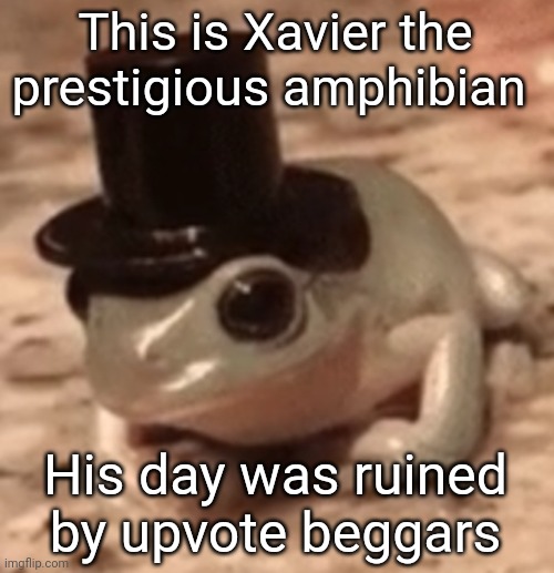 Justice for Xavier | This is Xavier the prestigious amphibian; His day was ruined by upvote beggars | image tagged in dapper frog | made w/ Imgflip meme maker