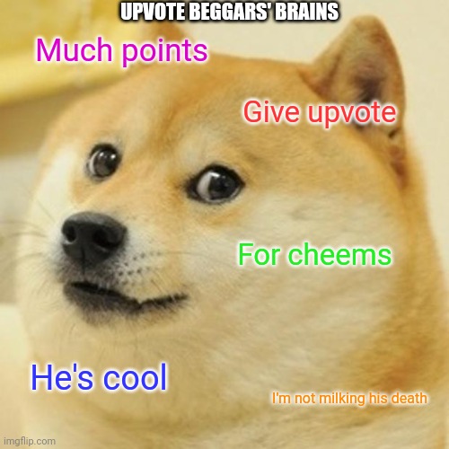Gimme points | UPVOTE BEGGARS' BRAINS; Much points; Give upvote; For cheems; He's cool; I'm not milking his death | image tagged in memes,doge,upvote begging | made w/ Imgflip meme maker