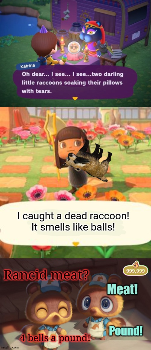 Timmy and Tommy problems | I caught a dead raccoon! It smells like balls! Rancid meat? Meat! Pound! 4 bells a pound! | image tagged in timmy and tommy,animal crossing,roadkill,tom nook,meat | made w/ Imgflip meme maker