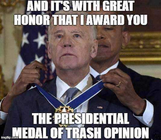 Medal of Trash Opinion | image tagged in medal of trash opinion | made w/ Imgflip meme maker