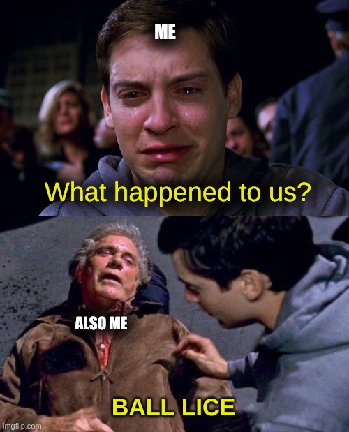 Puberty hittin' different | ME; What happened to us? ALSO ME; BALL LICE | image tagged in uncle ben peter spiderman tobey,balls,memes,funny | made w/ Imgflip meme maker