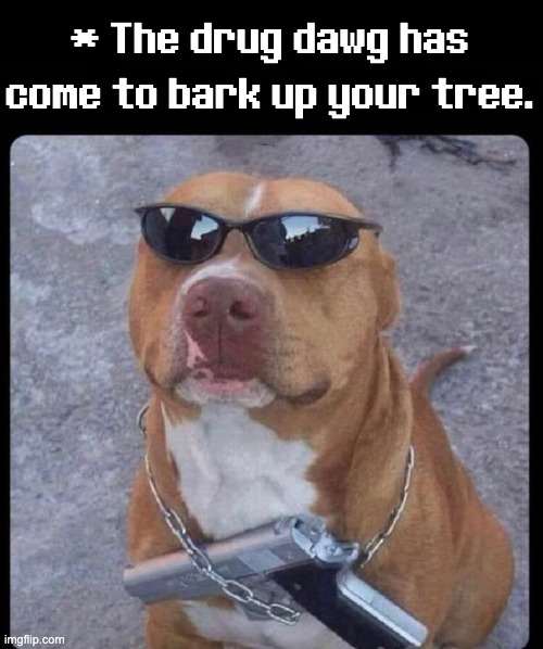 * The drug dawg has come to bark up your tree. | image tagged in boss fight,drug,drug dawg,high,dog,pitbull | made w/ Imgflip meme maker