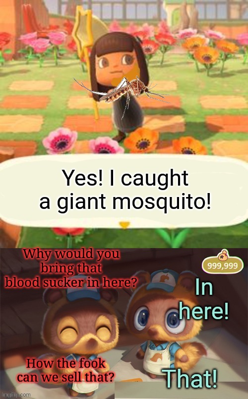 Timmy and Tommy Problems | Yes! I caught a giant mosquito! Why would you bring that blood sucker in here? In here! How the fook can we sell that? That! | image tagged in timmy and tommy problems,animal crossing,stop it get some help | made w/ Imgflip meme maker