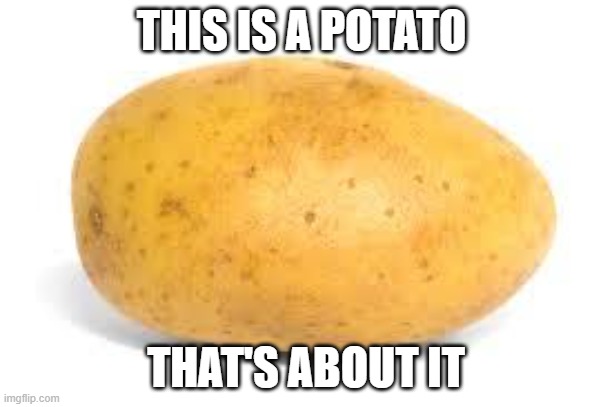 potato | THIS IS A POTATO; THAT'S ABOUT IT | image tagged in potato,lol so funny | made w/ Imgflip meme maker
