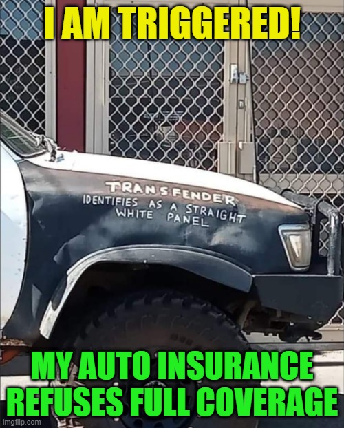 Discriminatory on SO many levels! (*sarcasm*) | I AM TRIGGERED! MY AUTO INSURANCE REFUSES FULL COVERAGE | image tagged in transgender,car insurance,discrimination,sarcasm,gender identity,furries | made w/ Imgflip meme maker
