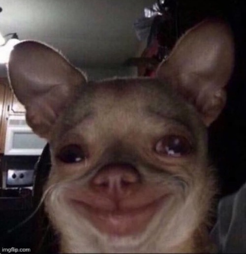 crying dog | image tagged in crying dog | made w/ Imgflip meme maker