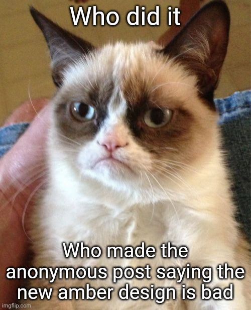 I'm not saying you can't criticize someone a little, but you can't just make a post saying something like "this drawing is sh*t" | Who did it; Who made the anonymous post saying the new amber design is bad | image tagged in memes,grumpy cat | made w/ Imgflip meme maker