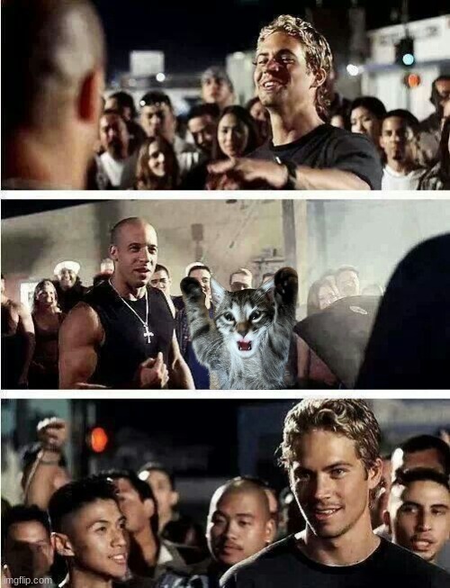 Fast And The Furious | image tagged in almost had me | made w/ Imgflip meme maker