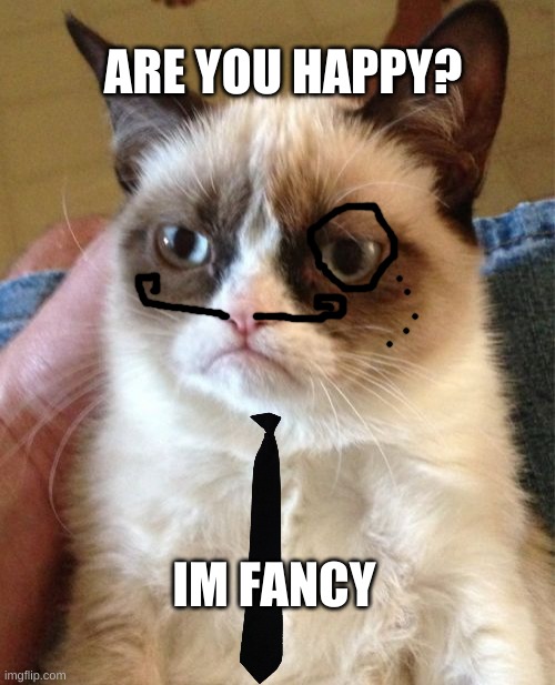 Grumpy Cat Meme | ARE YOU HAPPY? IM FANCY | image tagged in memes,grumpy cat | made w/ Imgflip meme maker
