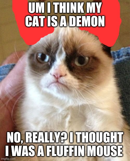 Grumpy Cat | UM I THINK MY CAT IS A DEMON; NO, REALLY? I THOUGHT I WAS A FLUFFIN MOUSE | image tagged in memes,grumpy cat | made w/ Imgflip meme maker