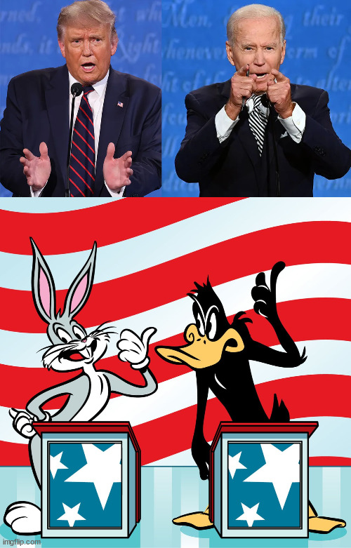 image tagged in trump,biden,2024 election,bugs and daffy | made w/ Imgflip meme maker