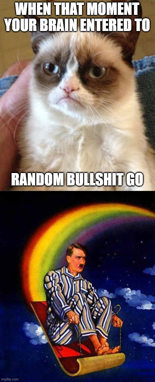 WHEN THAT MOMENT YOUR BRAIN ENTERED TO; RANDOM BULLSHIT GO | image tagged in memes,grumpy cat,random hitler | made w/ Imgflip meme maker