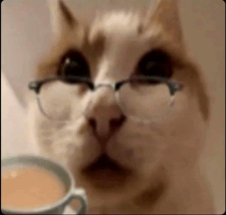 High Quality disturbing my teatime cat Blank Meme Template