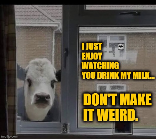I JUST ENJOY WATCHING YOU DRINK MY MILK... DON'T MAKE IT WEIRD. | image tagged in cow,milk,voyeurism | made w/ Imgflip meme maker