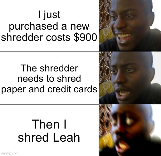 Tau Yang Nonsense, need to shred Leah | I just purchased a new shredder costs $900; The shredder needs to shred paper and credit cards; Then I shred Leah | image tagged in disappointed guy 3 panels | made w/ Imgflip meme maker