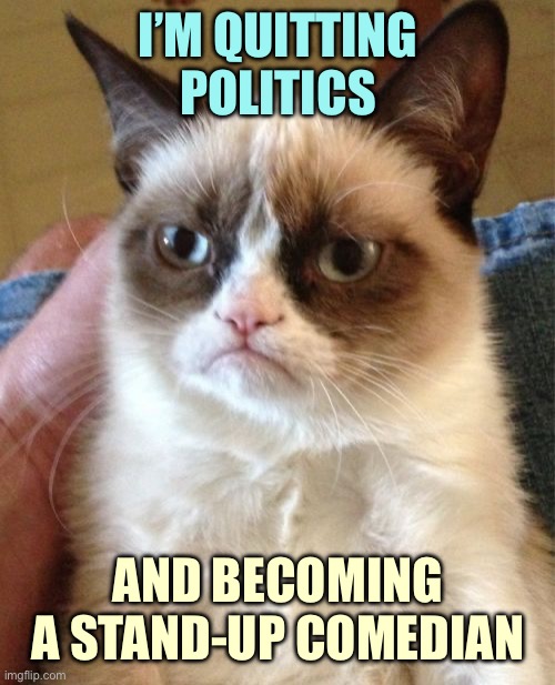 Grumpy Cat | I’M QUITTING POLITICS; AND BECOMING A STAND-UP COMEDIAN | image tagged in memes,grumpy cat | made w/ Imgflip meme maker
