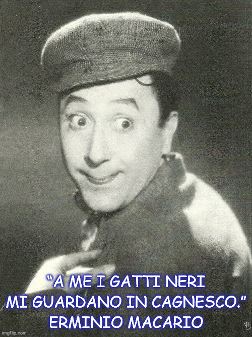 “A ME I GATTI NERI MI GUARDANO IN CAGNESCO.”
ERMINIO MACARIO | made w/ Imgflip meme maker