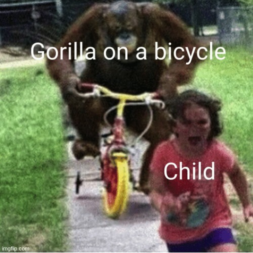 image tagged in memes,funny,msmg,gorilla,shitpost | made w/ Imgflip meme maker