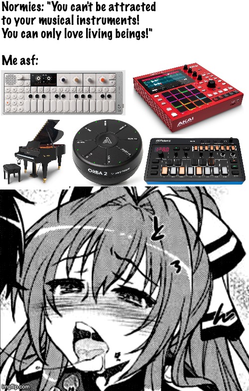 Normies: "You can't be attracted 
to your musical instruments! 
You can only love living beings!"
 
Me asf: | image tagged in lewd anime girl,music,musician,piano,sampler,cute | made w/ Imgflip meme maker