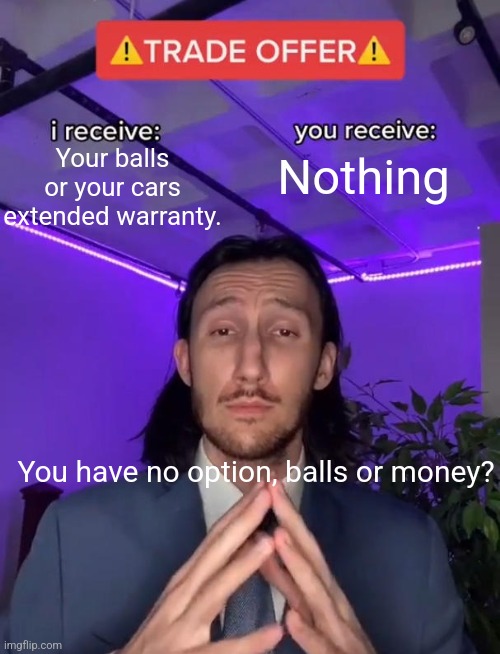 Trade Offer | Your balls or your cars extended warranty. Nothing; You have no option, balls or money? | image tagged in trade offer | made w/ Imgflip meme maker