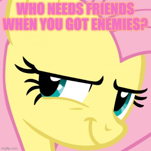 WHO NEEDS FRIENDS
WHEN YOU GOT ENEMIES? | image tagged in fluttershy evil smile | made w/ Imgflip meme maker