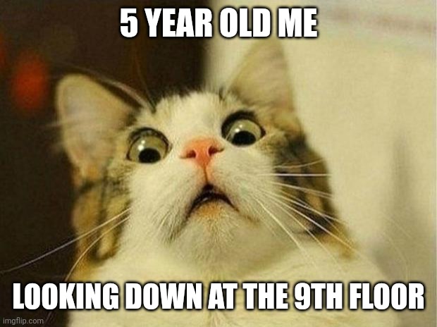 antimony | 5 YEAR OLD ME; LOOKING DOWN AT THE 9TH FLOOR | image tagged in memes,scared cat | made w/ Imgflip meme maker
