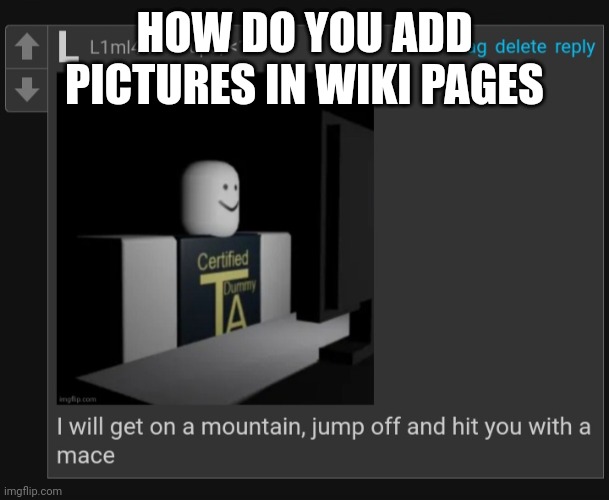 I will get on a mountain, jump off and hit you with a mace | HOW DO YOU ADD PICTURES IN WIKI PAGES | image tagged in i will get on a mountain jump off and hit you with a mace | made w/ Imgflip meme maker