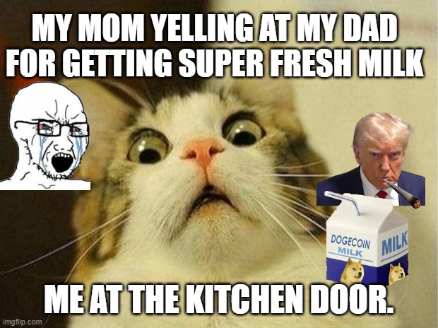 Scared Cat Meme | MY MOM YELLING AT MY DAD FOR GETTING SUPER FRESH MILK; ME AT THE KITCHEN DOOR. | image tagged in memes,scared cat | made w/ Imgflip meme maker