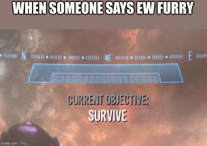 Current Objective: Survive | WHEN SOMEONE SAYS EW FURRY | image tagged in current objective survive | made w/ Imgflip meme maker