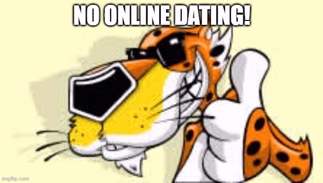 Chester cheetah approves | NO ONLINE DATING! | image tagged in chester cheetah approves | made w/ Imgflip meme maker