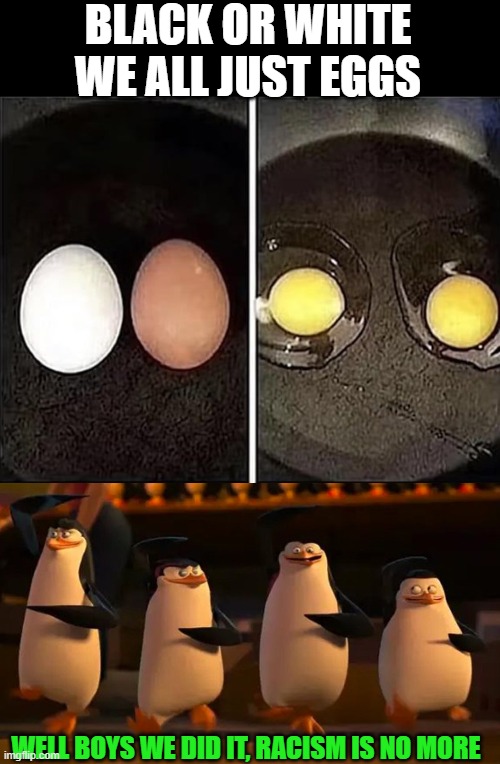 well boys we did it | BLACK OR WHITE WE ALL JUST EGGS; WELL BOYS WE DID IT, RACISM IS NO MORE | image tagged in well boys we did it | made w/ Imgflip meme maker